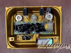 KLON (正規輸入品) Centaur Professional Over Drive 1999年製 Gold Picture Full-Original & EX++ “Short Tail”_4