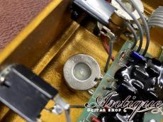 KLON (正規輸入品) Centaur Professional Over Drive 1999年製 Gold Picture Full-Original & EX++ “Short Tail”_5