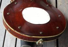 Gretsch CountryGentleman_9