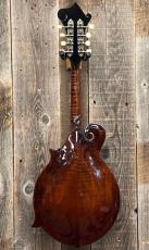 Gibson "The Flatiron" Festival-F Ca.2001_6