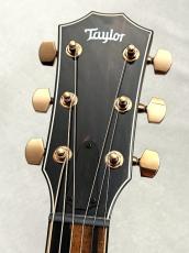 Taylor 814ce Special Edition Shade Edge Burst 【国内入荷6本のみ!】【スペシャルモデル】【48回無金利】_5