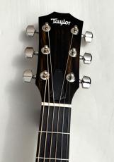 Taylor 【無金利分割OK】414ce Studio Special Edition【42.9mmナット幅】_4