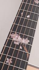 Headway HF-SAKURA'25 /STD SNP【48回無金利】【桜ナチュラルパール】_7