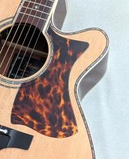 Takamine 【6本限定!】Takamine 銘木 -匠TAKUMI-【当社カスタムモデル】【ハカランダ指板】【48回払い無金利】_4