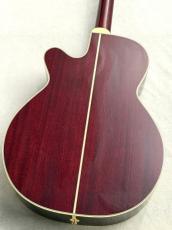 Takamine DMP551C WR【国産エレアコ】【深いワインレッドカラー】【48回無金利】_7