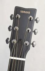 YAMAHA 【動画あり】FG9R【FGシリーズ最高位】【アディロンダック×ローズウッド】【48回払い無金利】_5