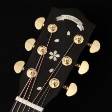 Headway HOC-SAKURA/JS SW-GRD 【動画あり】【48回無金利】【JT初の桜材使用モデル!】【P.U付】_3