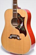 Gibson Dove Original #20734106【チョイキズ特価】【試奏動画あり】