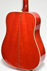 Gibson Dove Original #20734106【チョイキズ特価】【試奏動画あり】_2