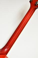 Gibson Dove Original #20734106【チョイキズ特価】【試奏動画あり】_8