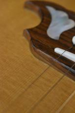 Gibson Dove Original #20734106【チョイキズ特価】【試奏動画あり】_11