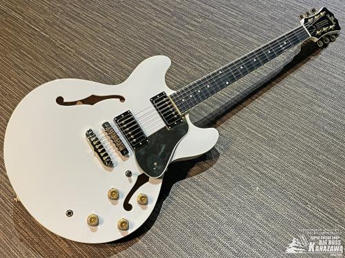 Aria Pro II TA-TONIC WH【東京楽器博限定仕様! 特注ピックガード! 日本製! ハードケース付属!】