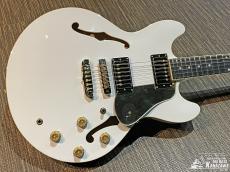 Aria Pro II TA-TONIC WH【東京楽器博限定仕様! 特注ピックガード! 日本製! ハードケース付属!】_2