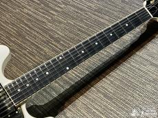 Aria Pro II TA-TONIC WH【東京楽器博限定仕様! 特注ピックガード! 日本製! ハードケース付属!】_3