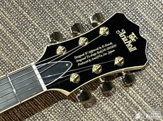 Aria Pro II TA-TONIC WH【東京楽器博限定仕様! 特注ピックガード! 日本製! ハードケース付属!】_4