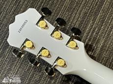 Aria Pro II TA-TONIC WH【東京楽器博限定仕様! 特注ピックガード! 日本製! ハードケース付属!】_5
