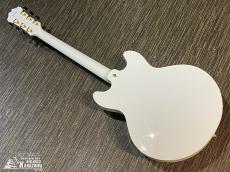 Aria Pro II TA-TONIC WH【東京楽器博限定仕様! 特注ピックガード! 日本製! ハードケース付属!】_7