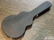 Aria Pro II TA-TONIC WH【東京楽器博限定仕様! 特注ピックガード! 日本製! ハードケース付属!】_8