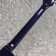 Epiphone Les Paul Standard 60s Figured Top ~Blueberry Burst~ #25051523077【3.93kg】_8