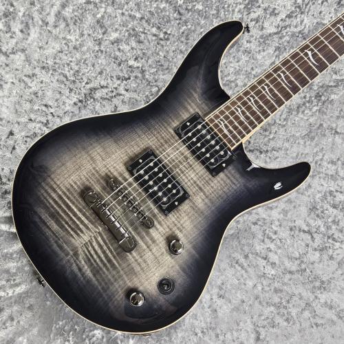 FUJIGEN EEL-FM/TKS -Transparent Black Sunburst-【生産完了モデル!】