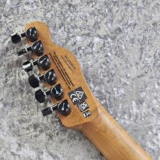 Charvel Pro-Mod So-Cal Style 2 24 HH 2PT CM Ash_7