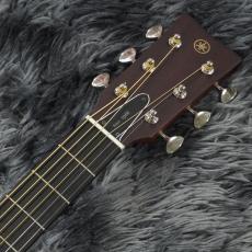 YAMAHA FGX3 Red Label【アウトレット特価】【オール単板】【エレアコ】_5