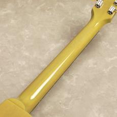 Gibson Les Paul Standard 50s Mahogany Top　【TV Yellow】_9