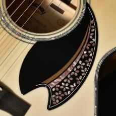 Headway HF-吉野千本桜'25/ATB 【11月下旬～12月下旬頃入荷予定】_3