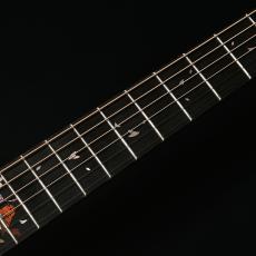 Headway HF-吉野千本桜'25/ATB 【11月下旬～12月下旬頃入荷予定】_7