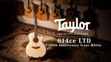 Taylor 【試奏動画有】50th Anniversary 614ce LTD Trans White with Edgeburst【Taylor公認 リペアマン在籍店】