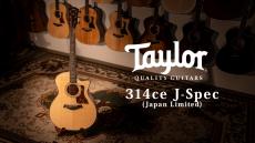 Taylor 【試奏動画有】314ce J-Spec -日本限定仕様- 【Taylor公認 リペアマン在籍店】