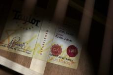 Taylor 【試奏動画有】314ce J-Spec -日本限定仕様- 【Taylor公認 リペアマン在籍店】_6