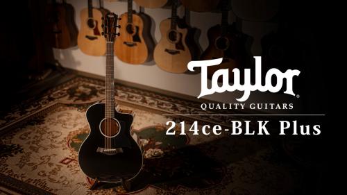Taylor 【試奏動画有】 214ce-BLK Plus【Taylor公認 リペアマン在籍店】