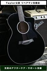 Taylor 【試奏動画有】 214ce-BLK Plus【Taylor公認 リペアマン在籍店】_2