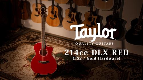 Taylor 【試奏動画有】214ce DLX RED ES2 Gold Hardware【Taylor公認 リペアマン在籍店】