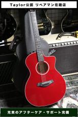 Taylor 【試奏動画有】214ce DLX RED ES2 Gold Hardware【Taylor公認 リペアマン在籍店】_2