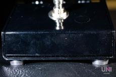 TOKYO EFFECTOR BLACK SWAN_3