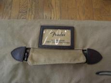 Fender '62 Princeton Amp Chris Stapleton Edition_13