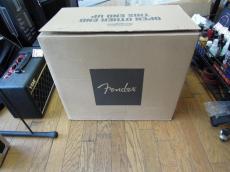 Fender '62 Princeton Amp Chris Stapleton Edition_15