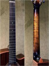 Stafford 【解説動画あり】Modern Series SFM-3【PU搭載】_7