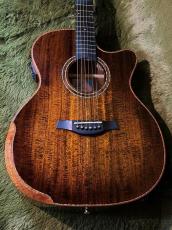 Stafford 【解説動画あり】Modern Series SFM-3【PU搭載】_9