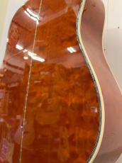 Gibson 2025年製　 Hummingbird Ultima ~Autumn Burst~ ♯21155015　 【無金利分割OK】【送料込み】_11