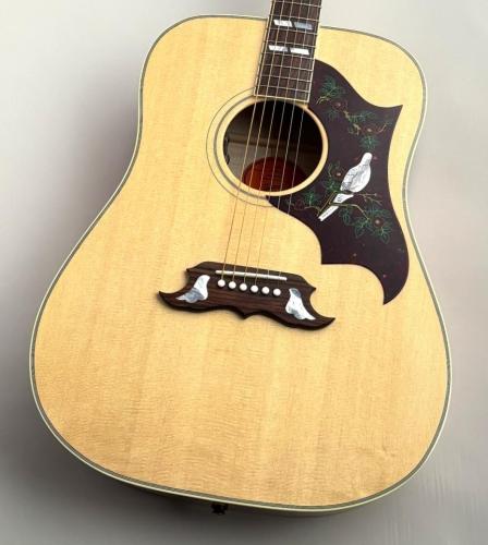 Gibson 【Black Friday!】Dove Original  AN #22884132【鮮烈なメイプルサウンド】【48回無金利】