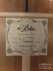 ARIA アリア A-175F CWE フラメンコ カッタウェイ エレガット 松・シープレス【日本総本店2F 在庫品】_4