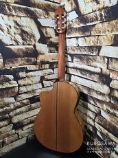 ARIA アリア A-175F CWE フラメンコ カッタウェイ エレガット 松・シープレス【日本総本店2F 在庫品】_6