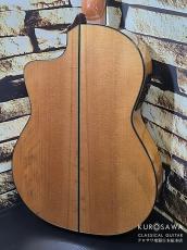 ARIA アリア A-175F CWE フラメンコ カッタウェイ エレガット 松・シープレス【日本総本店2F 在庫品】_7