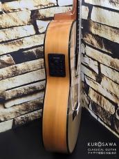 ARIA アリア A-175F CWE フラメンコ カッタウェイ エレガット 松・シープレス【日本総本店2F 在庫品】_10