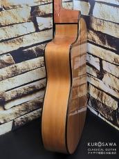 ARIA アリア A-175F CWE フラメンコ カッタウェイ エレガット 松・シープレス【日本総本店2F 在庫品】_11