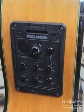 ARIA アリア A-175F CWE フラメンコ カッタウェイ エレガット 松・シープレス【日本総本店2F 在庫品】_12