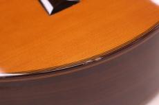 ASTURIAS アストリアス A15-10C (10弦ギター) 1987年製_8